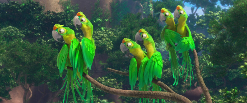 Green Parrots on Branch — Calm
