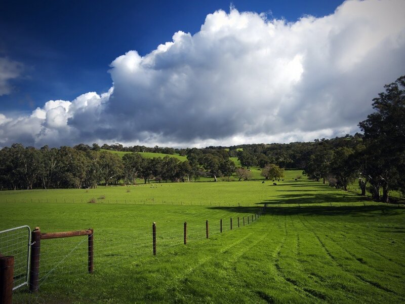 Green pasture under cloudy sky