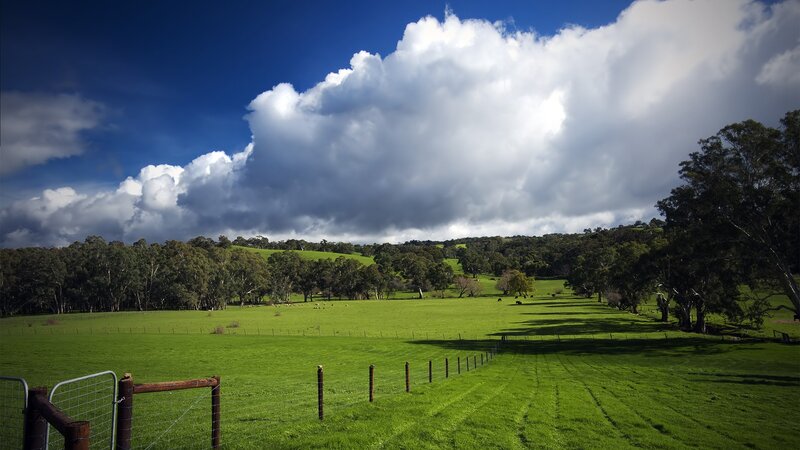 Green Pasture Under Cloudy Sky