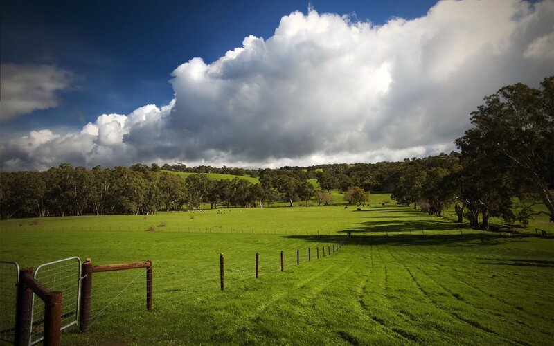 Green Pasture with Clouds — Dramatic, Afternoon, Photograph, Fence, Trees, Hills, Blue