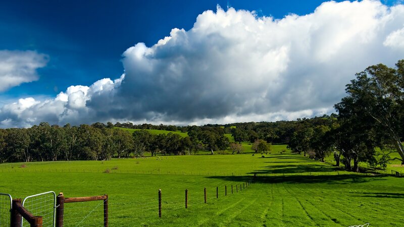Green Pasture with Clouds — Dramatic, Afternoon, Photograph, Trees, Fence, Hills, Blue