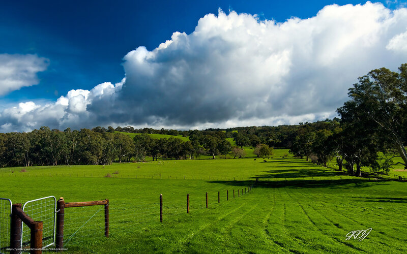 Green Pasture with Clouds — Dramatic, Afternoon