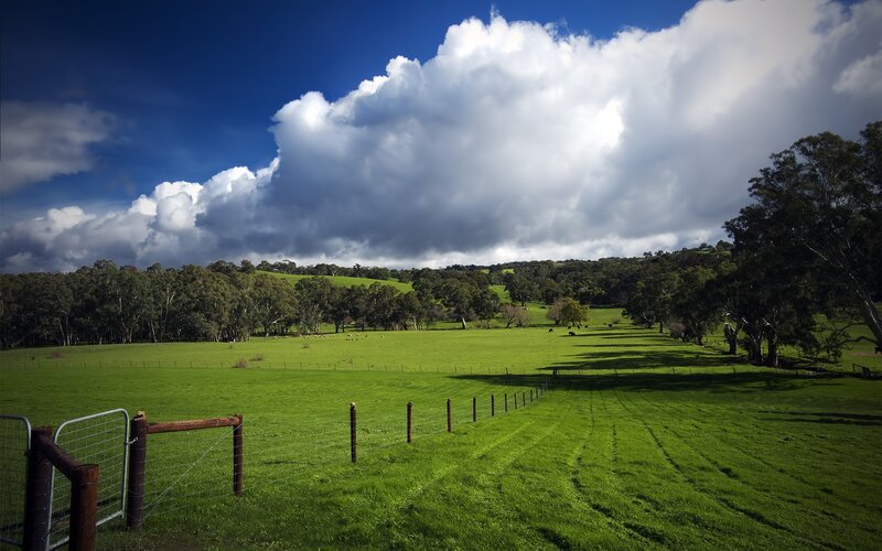Green Pasture with Clouds — Dramatic