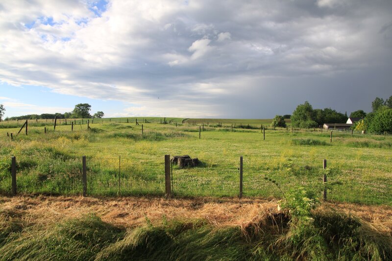 Green Pasture with Fence