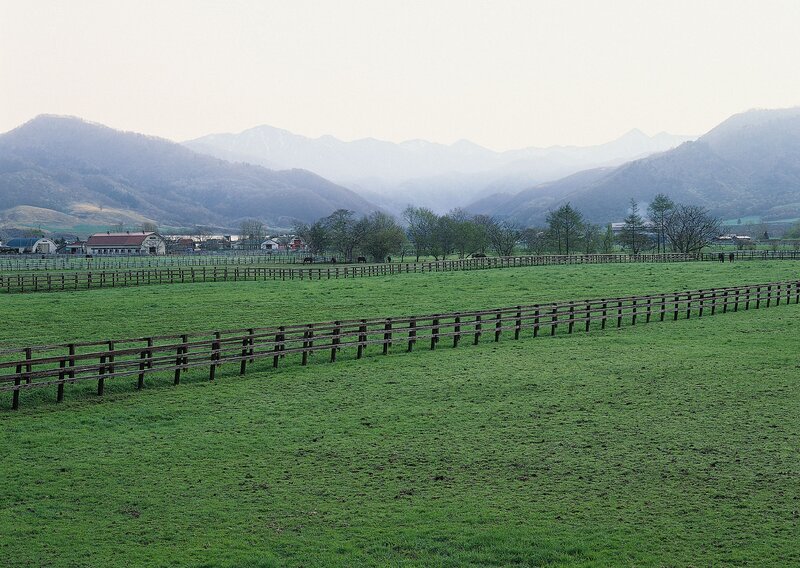 Green Pasture with Mountains