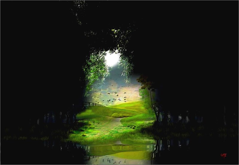 Green Path in Forest — Serene, Night