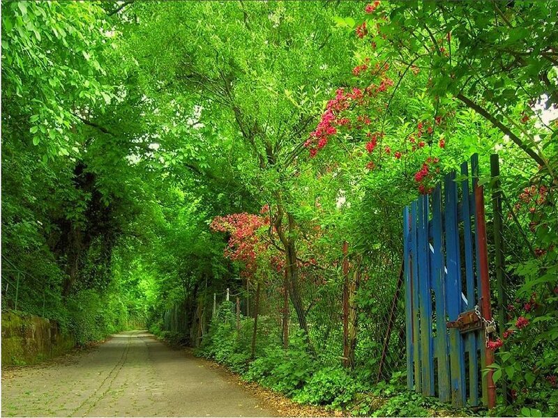 green path with blue gate
