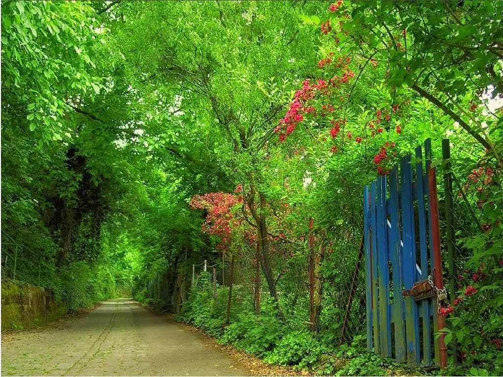 green path with blue gate