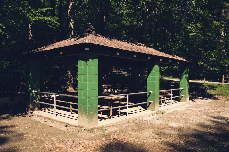 Green Pavilion in Forest