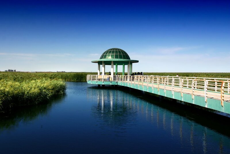 Green Pavilion on Bridge