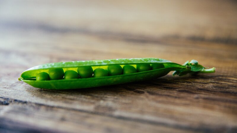 Green Pea Pod — Natural