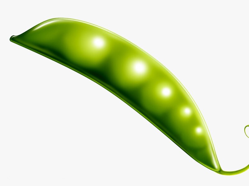 Green Pea Pod — Neutral, 3d Render
