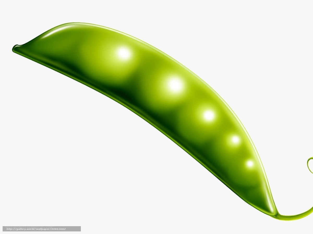 green pea pod