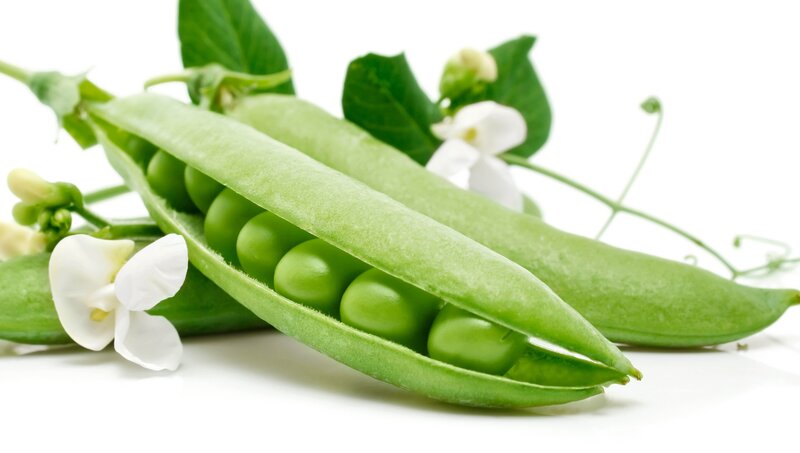 Green Pea Pods with Flowers