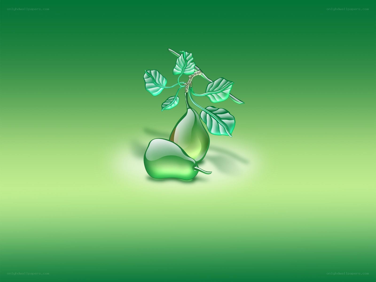 green pear illustration