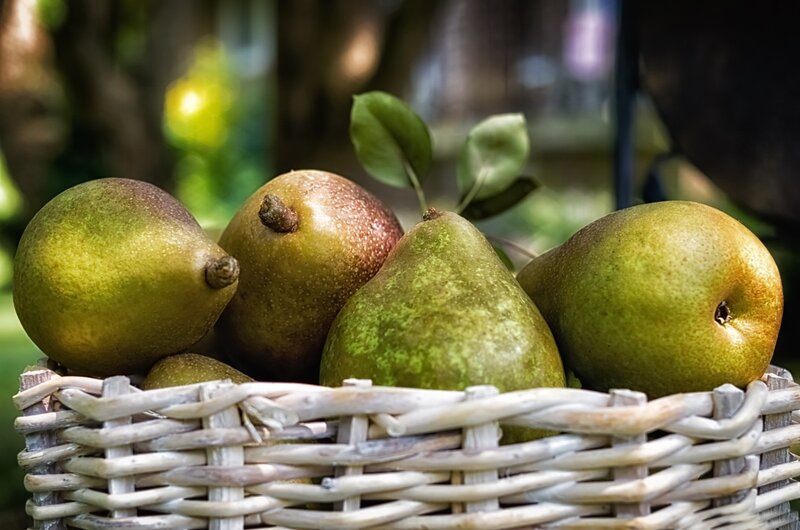 Green Pears in Basket — Natural