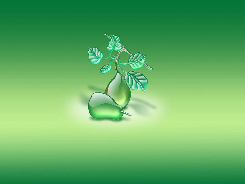 green pears on a branch