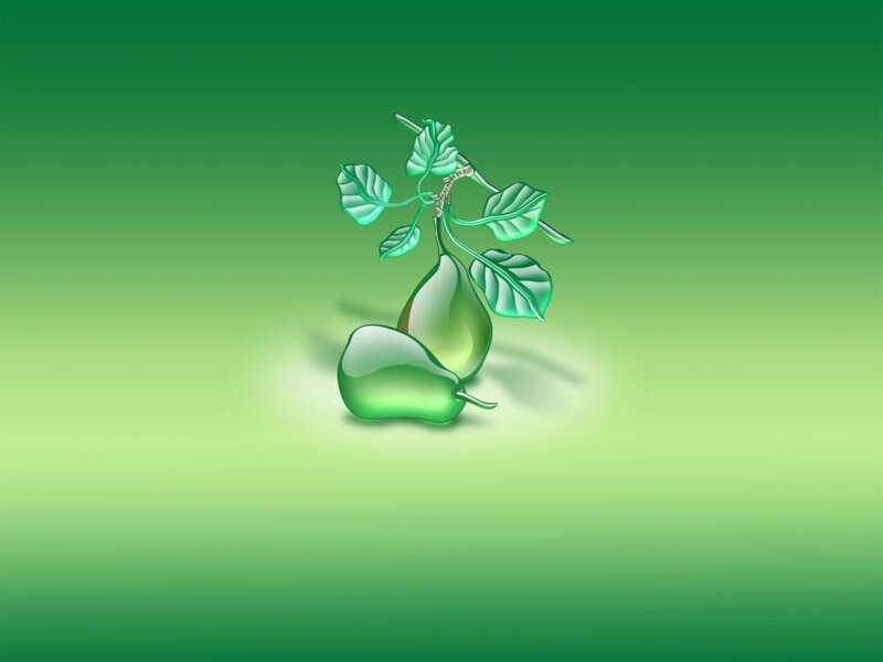 Green Pears on Branch — Serene