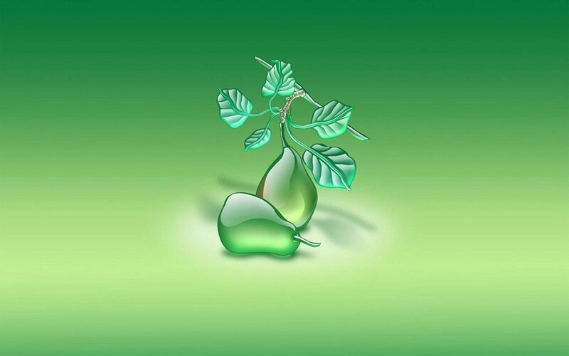 green pears on branch