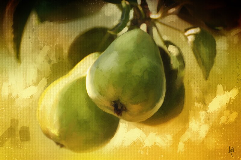 Green Pears on Branch — Yellow