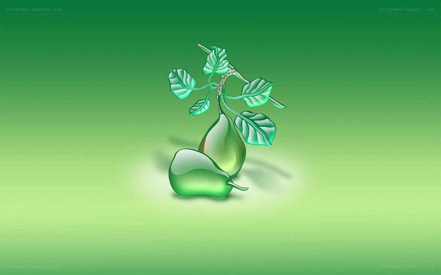 green pears on branch