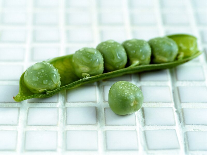 Green Peas in Pod — Fresh, Photograph, Pea Pod