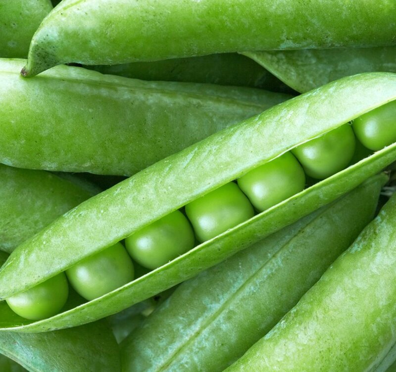 Green Peas in Pod — Fresh, Photograph
