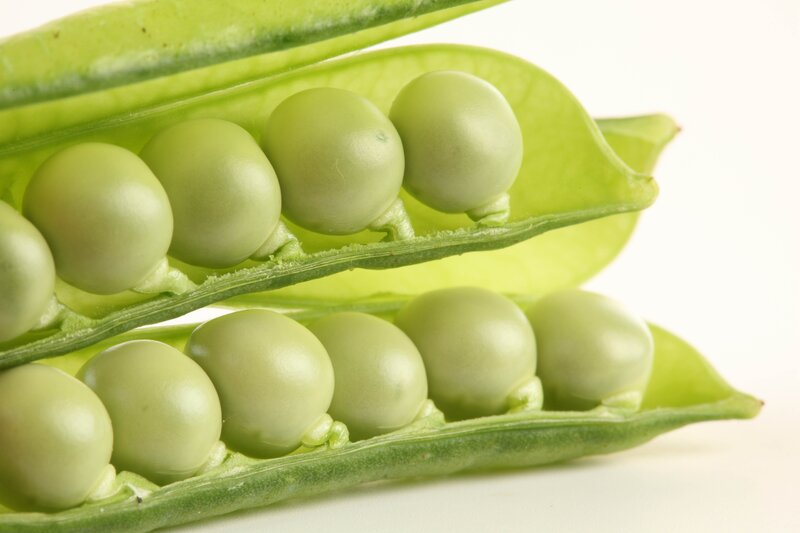 Green Peas in Pod — Neutral
