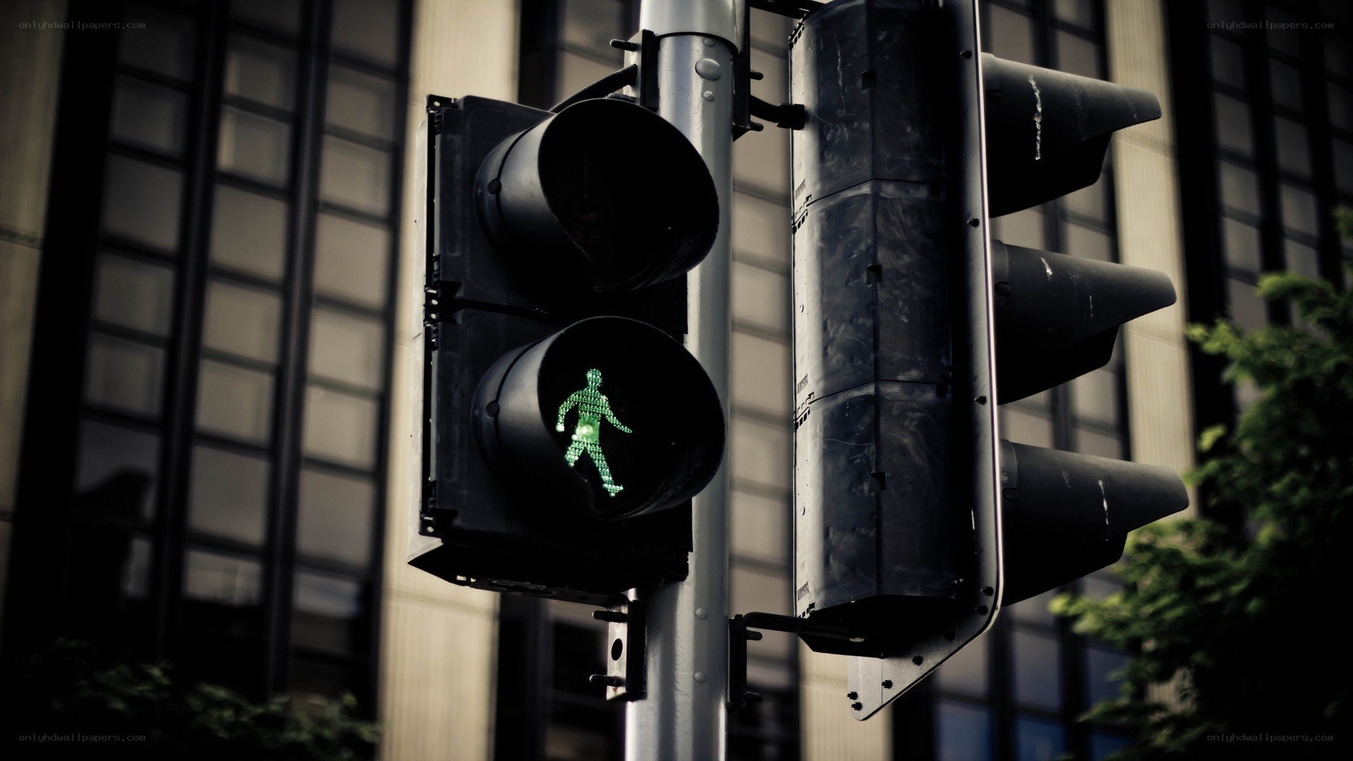 green pedestrian light in city