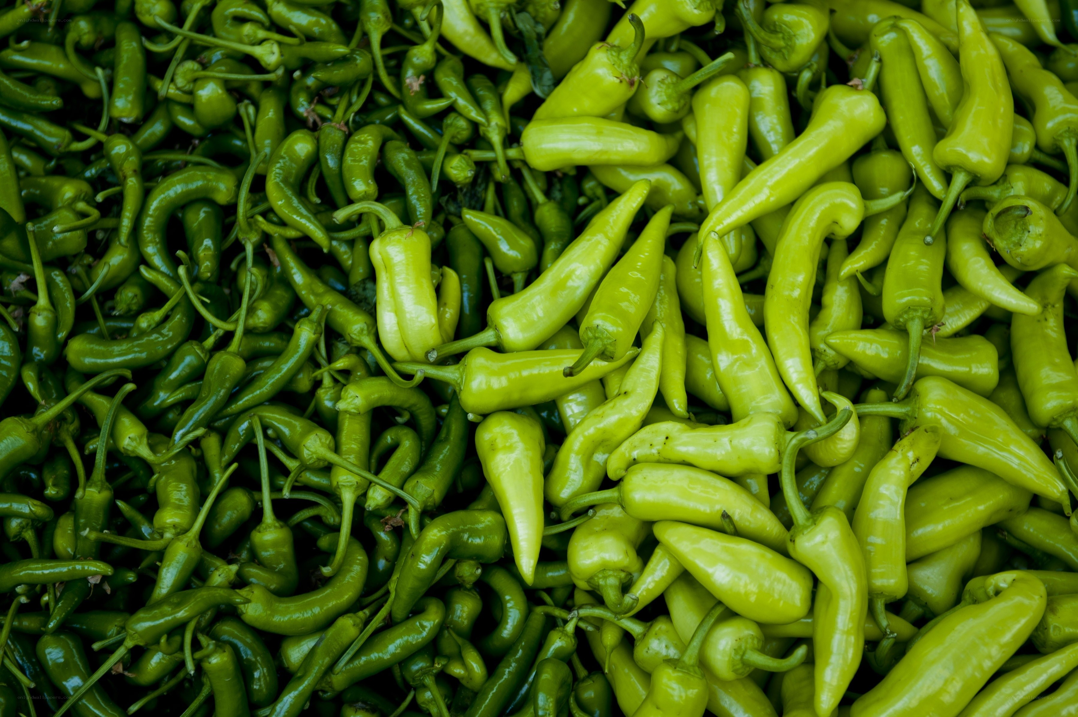 green peppers in a pile