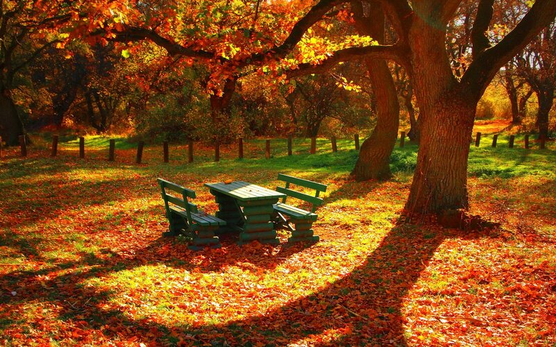 Green Picnic Table in Park — Orange
