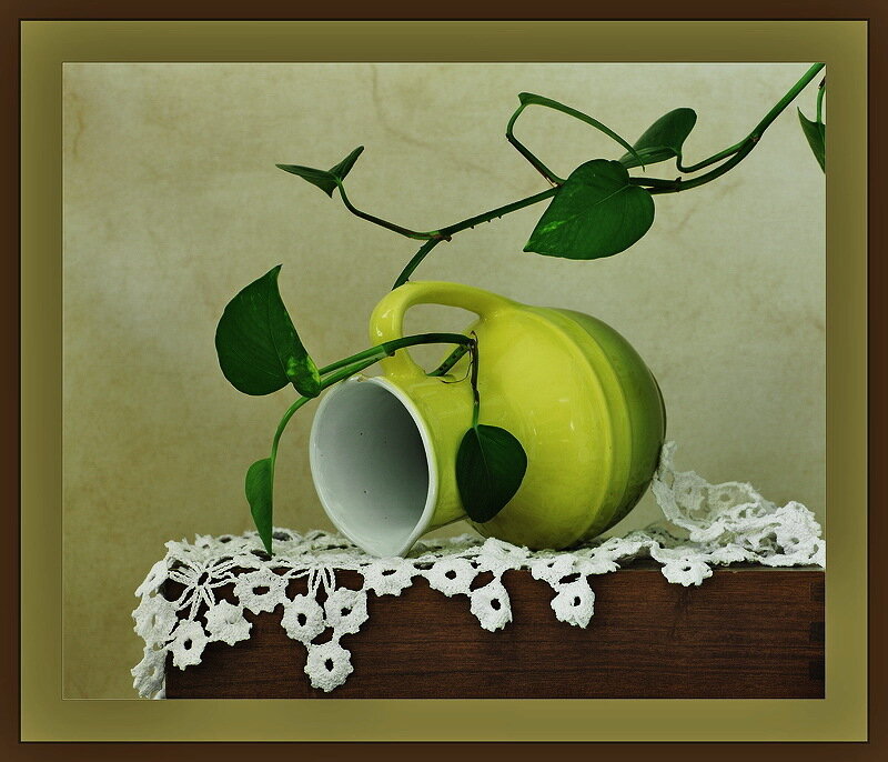 green pitcher with vine