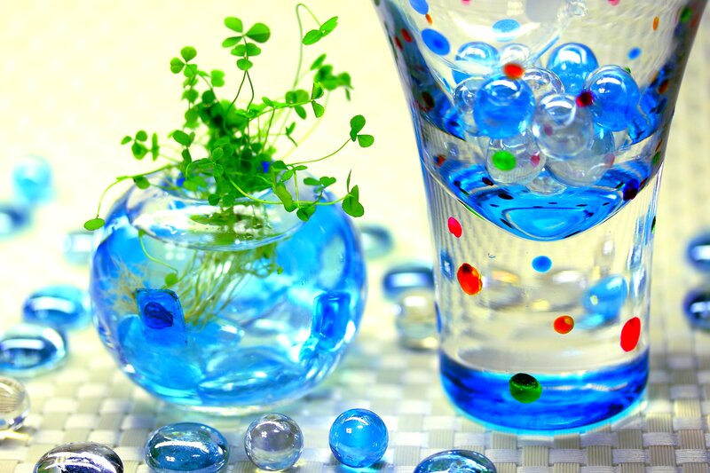 Green Plant in Glass Vase