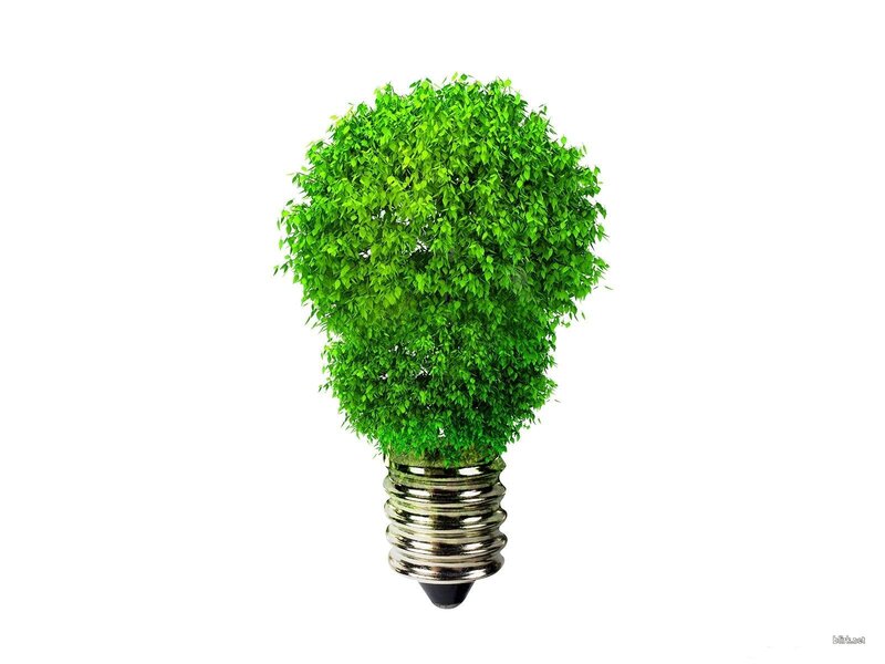 Green Plant in Light Bulb — Clean