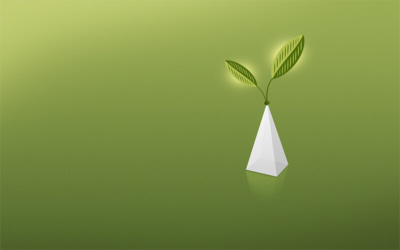 green plant in white vase