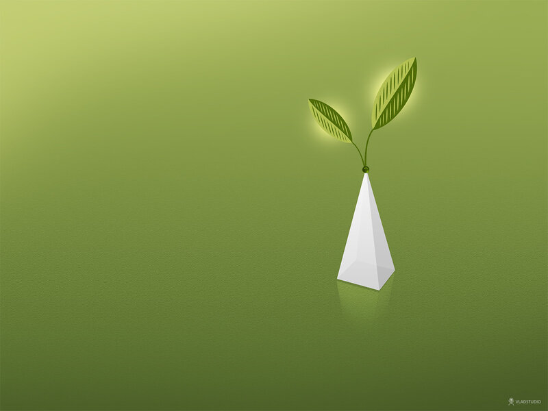green plant in white vase