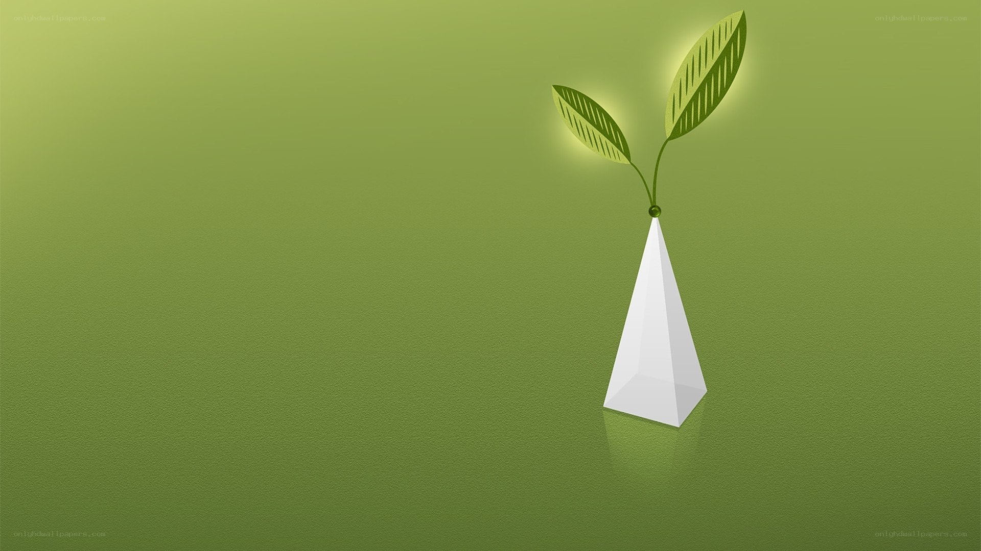 green plant in white vase