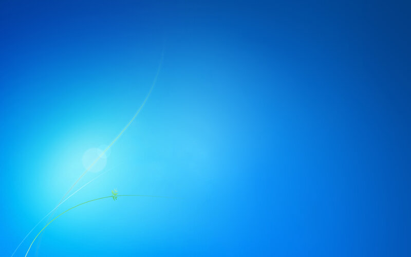 Green Plant on Blue Background
