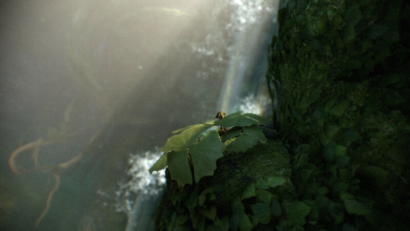 Green Plant on Rock — Serene