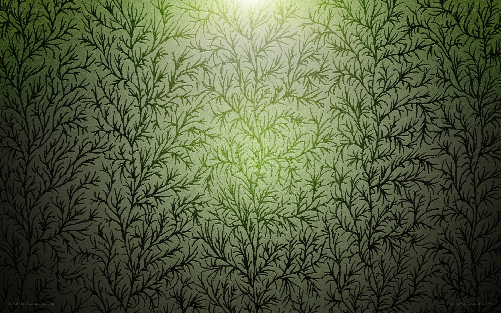 green plant pattern background