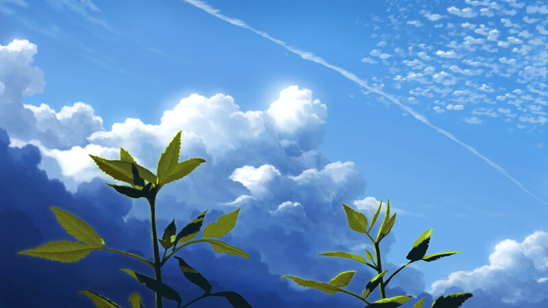 Green Plants Against Sky