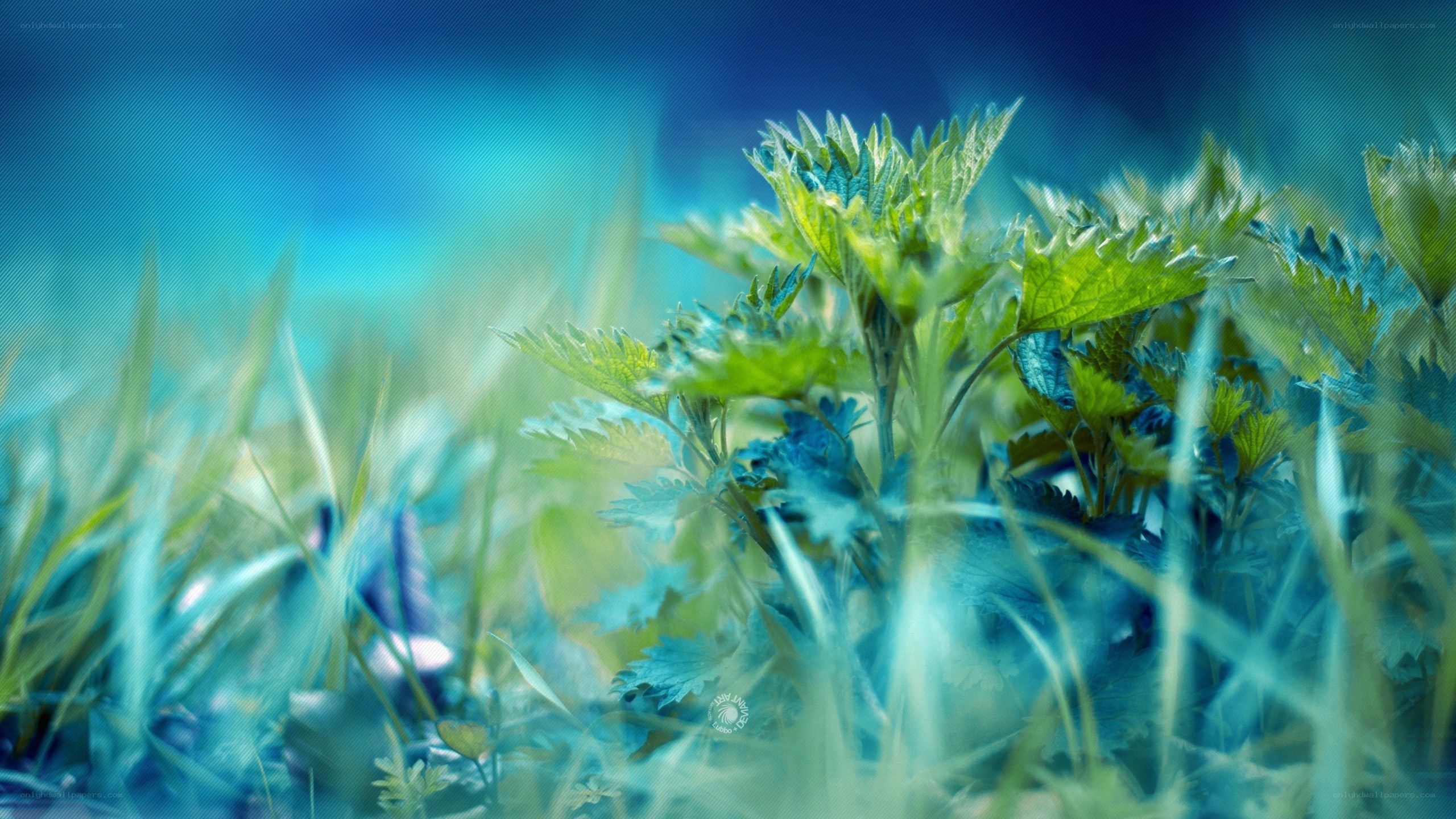 green plants in blue light