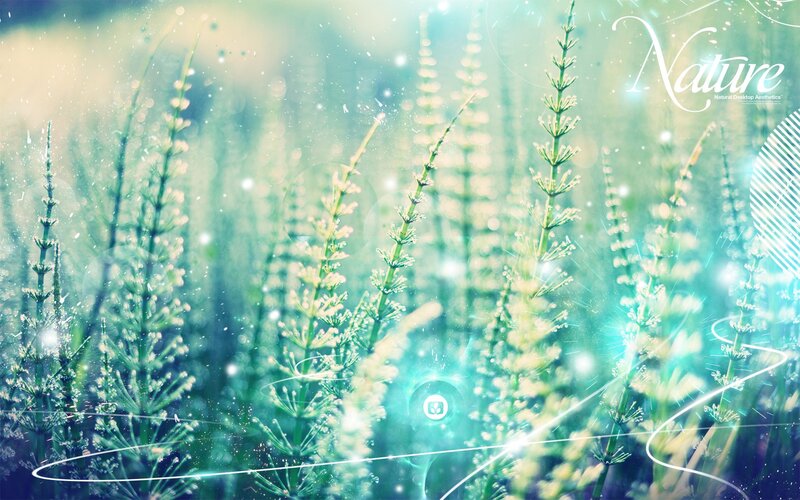 Green Plants in Field — Serene, Morning