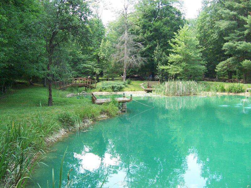Green Pond in Forest — Serene, Afternoon