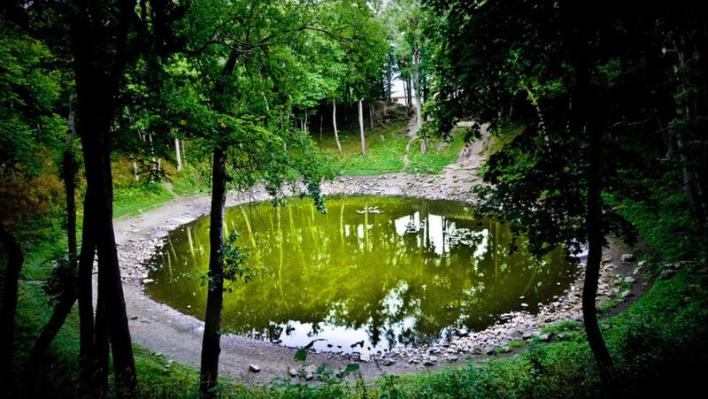 Green Pond in Forest — Serene