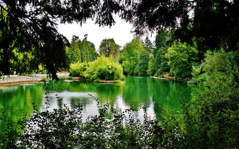 Green Pond in Park — Serene, Afternoon