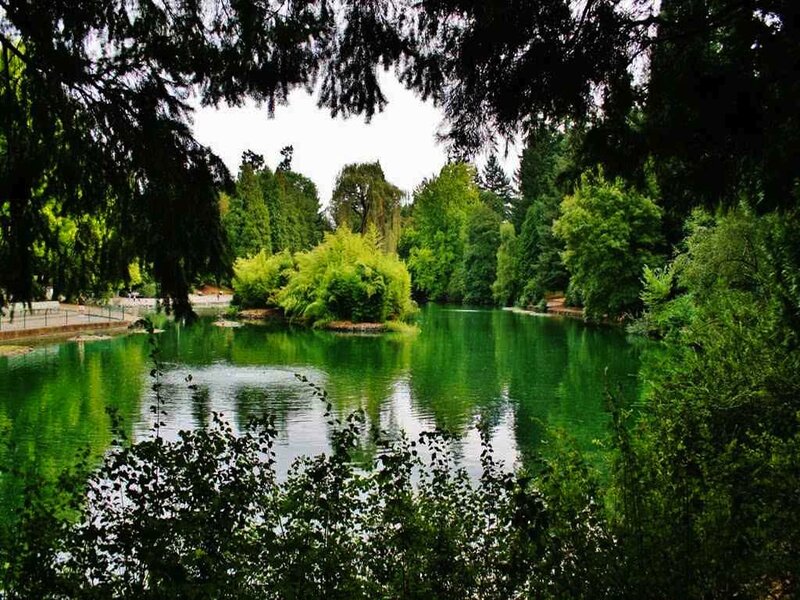 Green Pond in Park