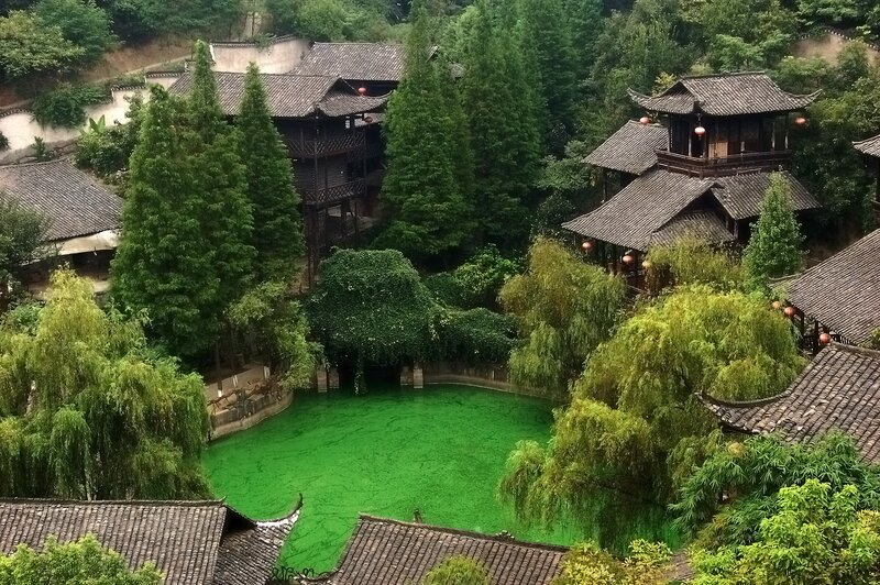 Green Pond in Village