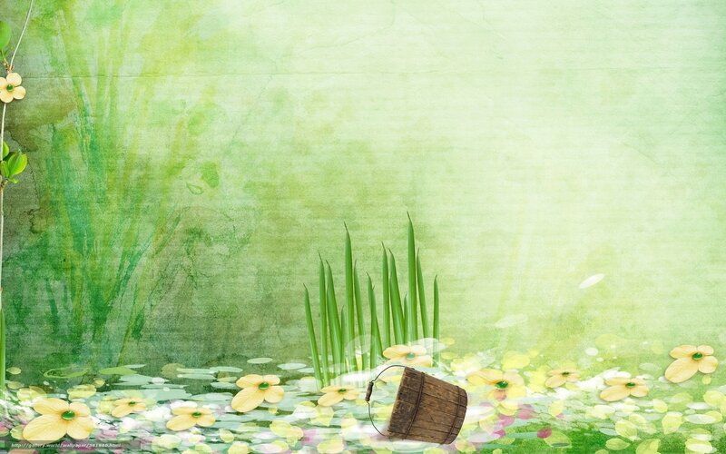 green pond with flowers