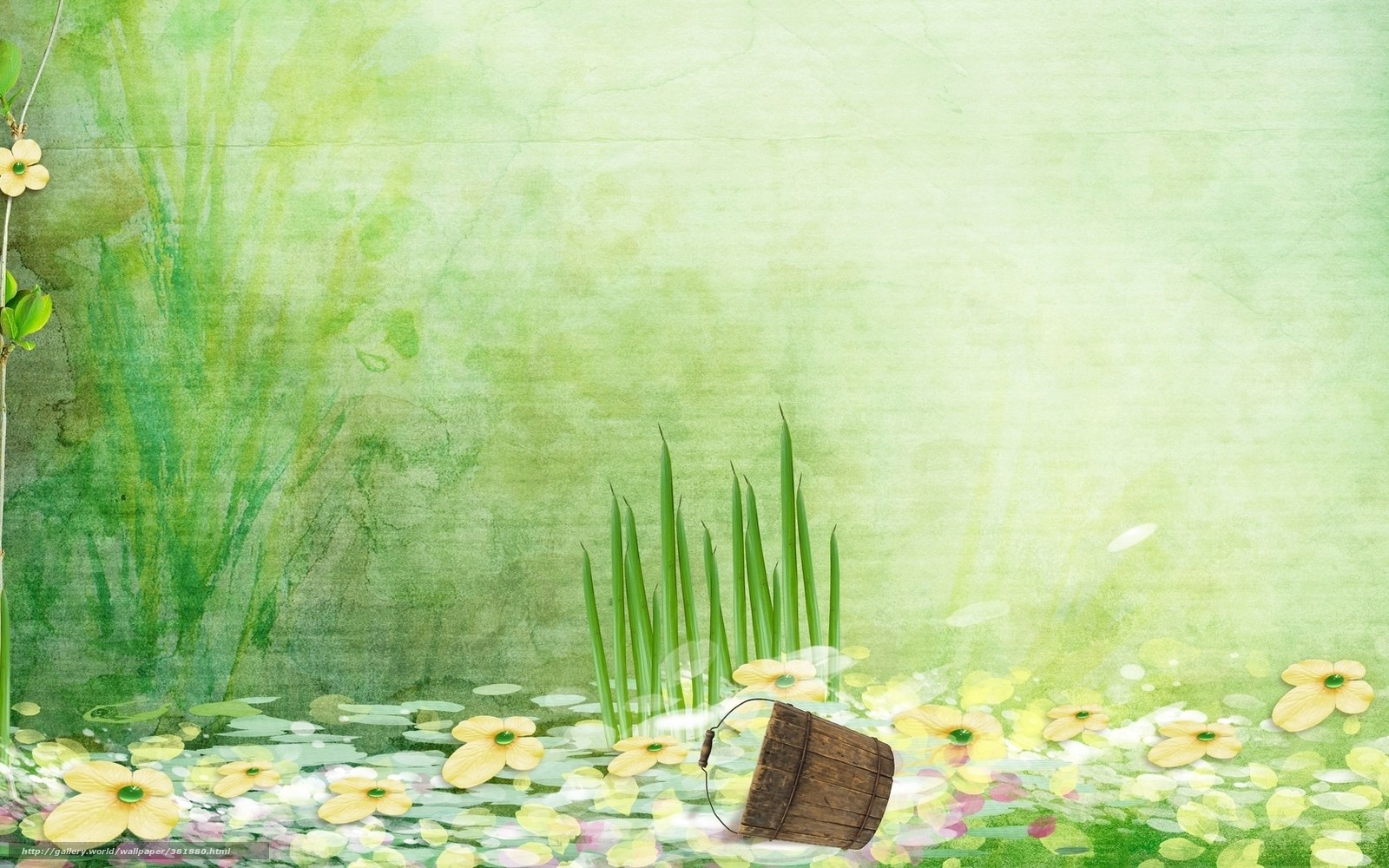 green pond with flowers